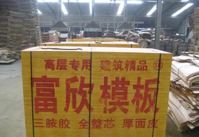 湖南建筑模板 湖南建筑模板廠家直銷 可用10-12次圖片_高清圖_細節圖-沭陽縣龍廟鎮富欣木業制品廠 -
