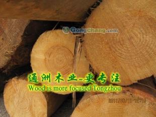 供應(yīng)通洲木業(yè)鐵杉建筑木材,落葉松方木,鐵杉建筑木方加工通洲木業(yè)_紡織皮革_世界工廠網(wǎng)中國(guó)產(chǎn)品信息庫(kù)