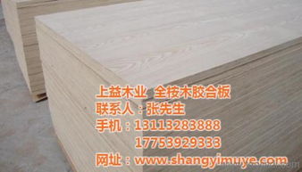 福田膠合板 全樺木膠合板價格 上益木業(yè) 優(yōu)質(zhì)商家